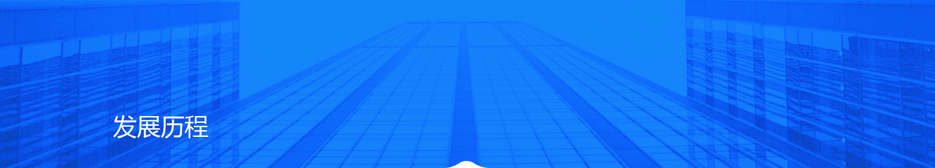 development_history_bg
